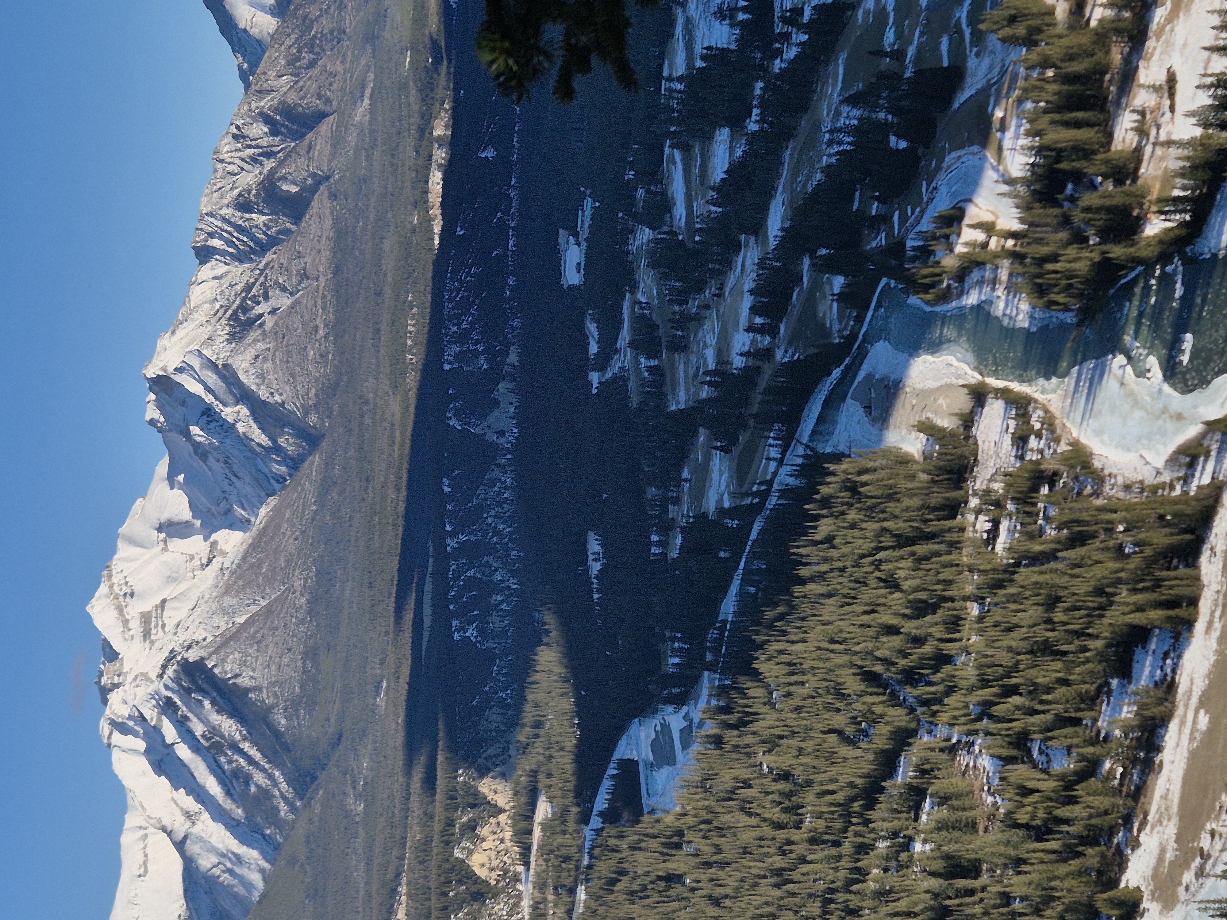 Description of the image